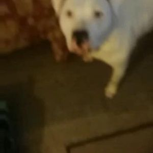 Meet your Posher, Erick